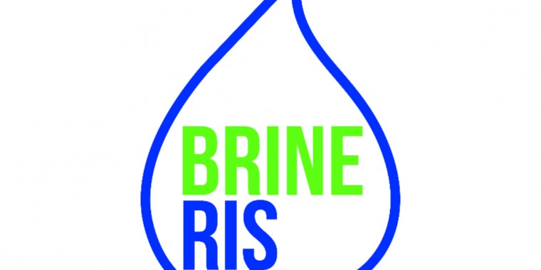 Task partner call for the BrineRIS project