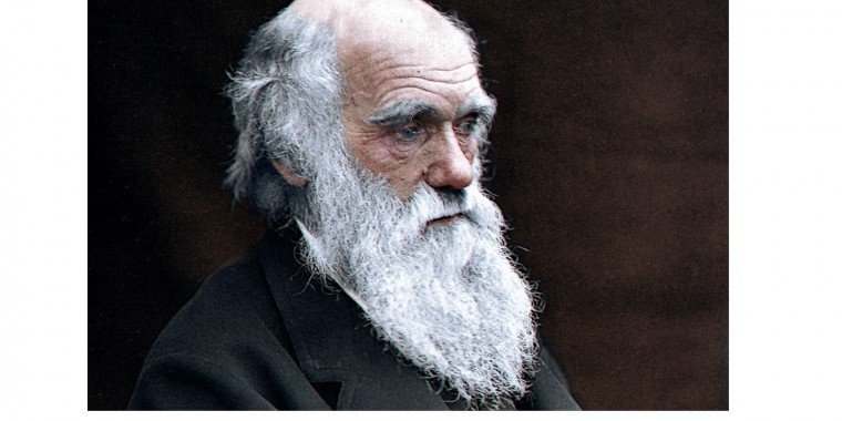 Darwin az óvatos forradalmár - online előadás